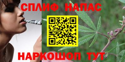 тгк Будённовск