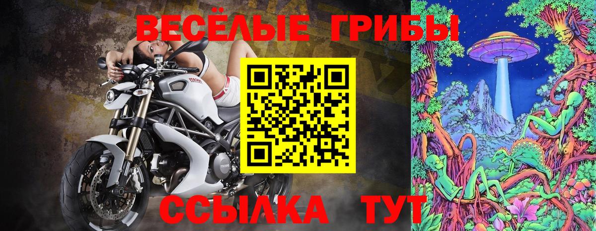 Псилоцибиновые грибы MAGIC MUSHROOMS  Вход с VPN  Тельмана 